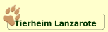 Informationen �ber unser Tierheim auf Lanzarote